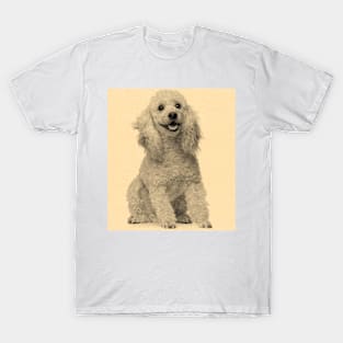 Lovable Poodle T-Shirt